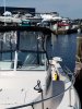 20180919_110902 (480x640).jpg