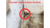 Corner where box drains.jpg