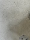 IMG_1639.jpeg IMG_1639.jpeg