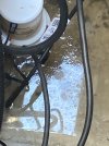 IMG_3443.jpeg IMG_3443.jpeg