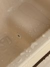 IMG_5853.jpeg