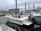 IMG_7331.JPEG