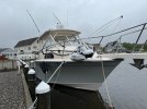 IMG_7449.jpg