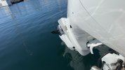 IMG_4630.jpg