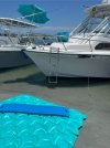 IMG_2672.jpeg