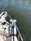 IMG_4278.jpg