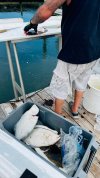 IMG_4125.jpeg