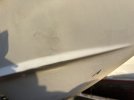 IMG_7320.jpeg