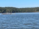 White pelicans.jpg White pelicans.jpg