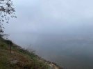 Morning Fog.jpg