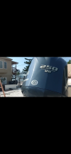 IMG_6771.png