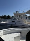 IMG_0323.jpeg
