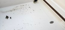 20260921_182312.jpg