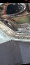 IMG_4367.jpeg