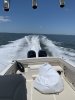 DB322462-CD96-4C3D-9319-6D2DE05BE0B4.jpeg