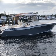 GW306