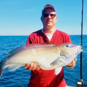 Flex Time - Tilefish and Bluefins