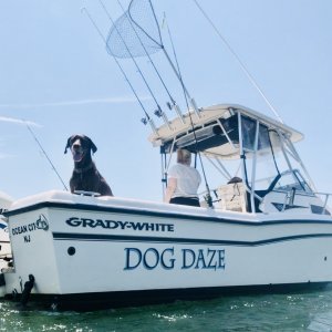 View from in the water  at the GE Inlet