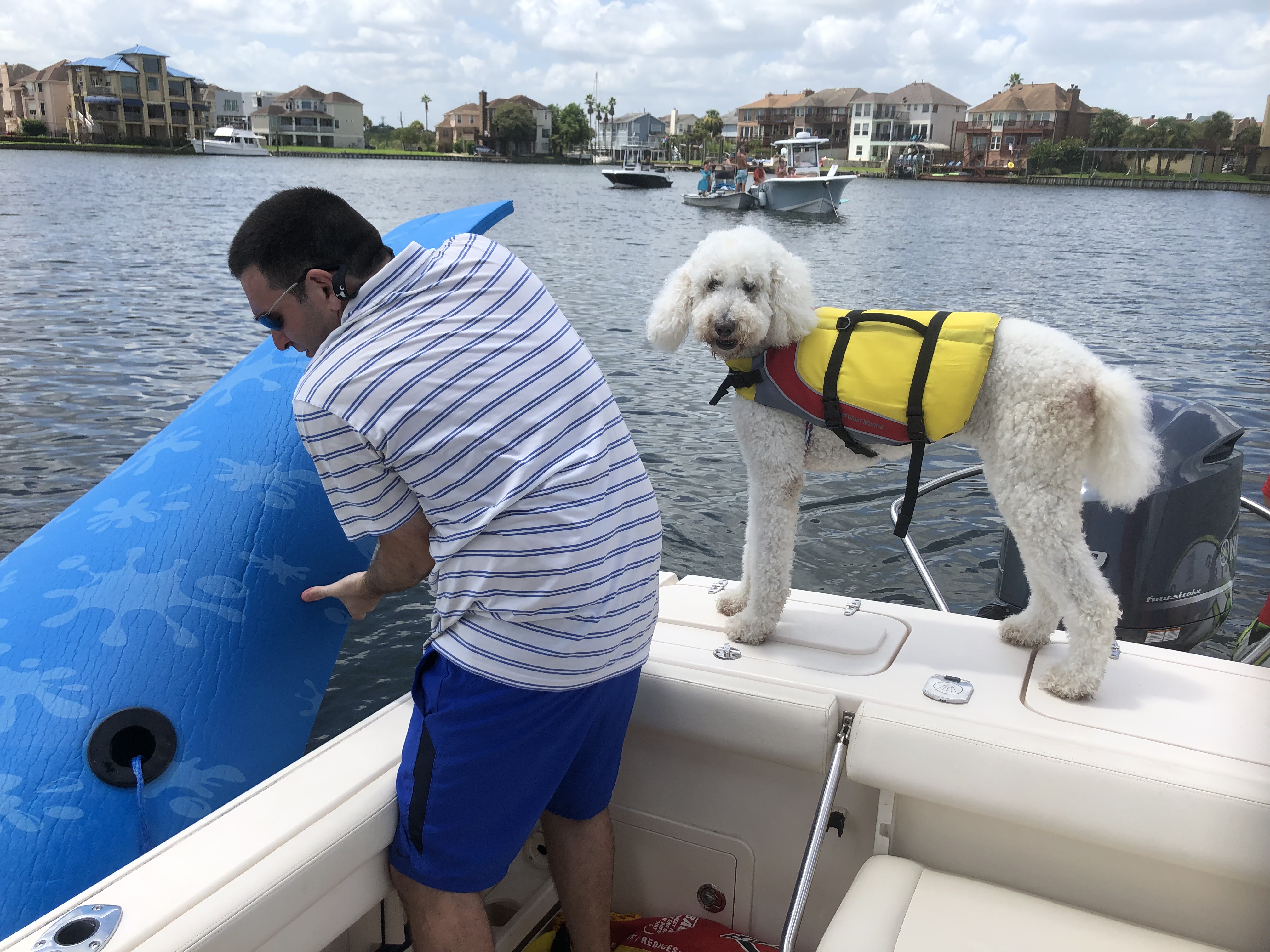 Tommy Girl with Saba getting ready to swim