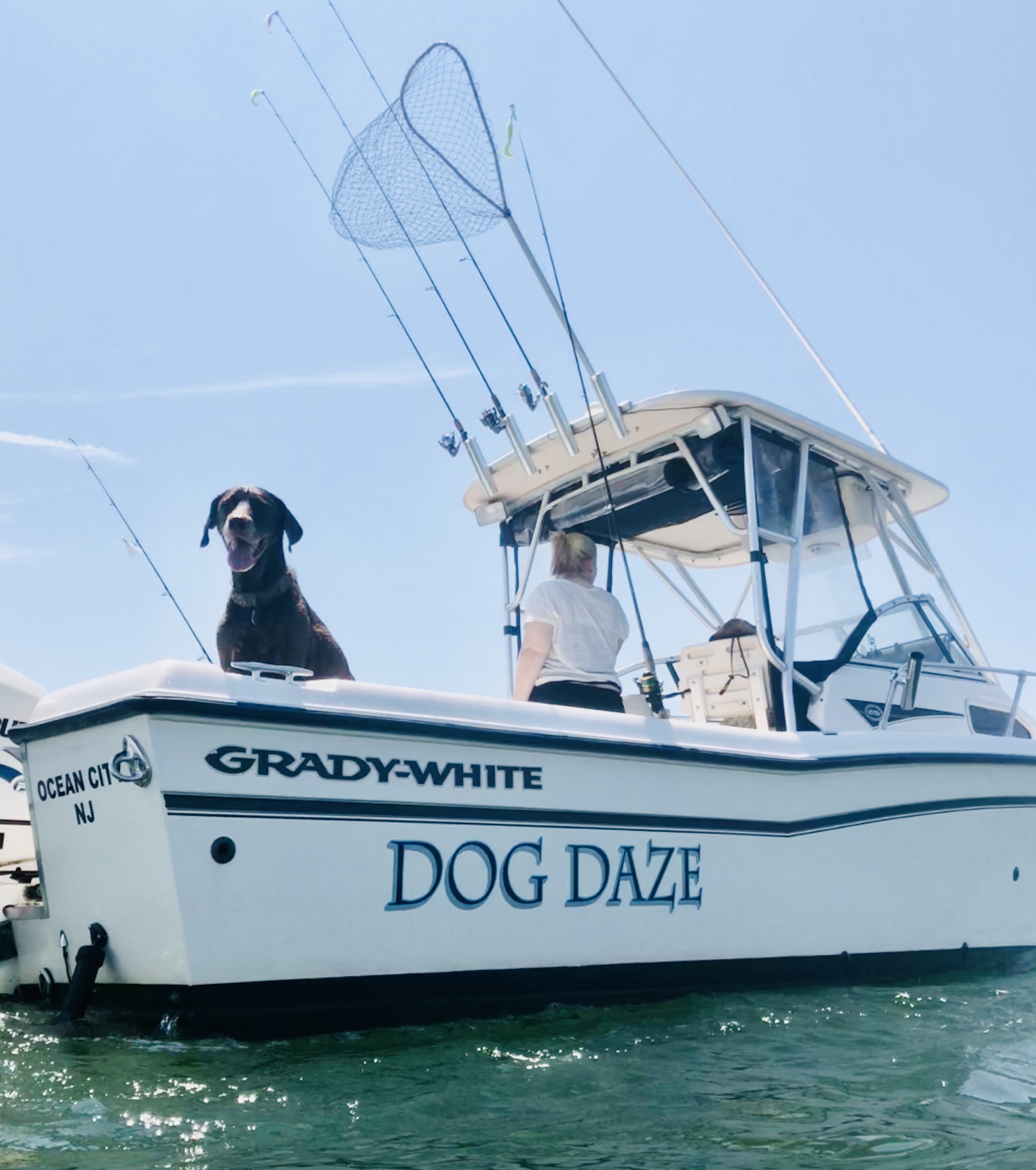 View from in the water  at the GE Inlet